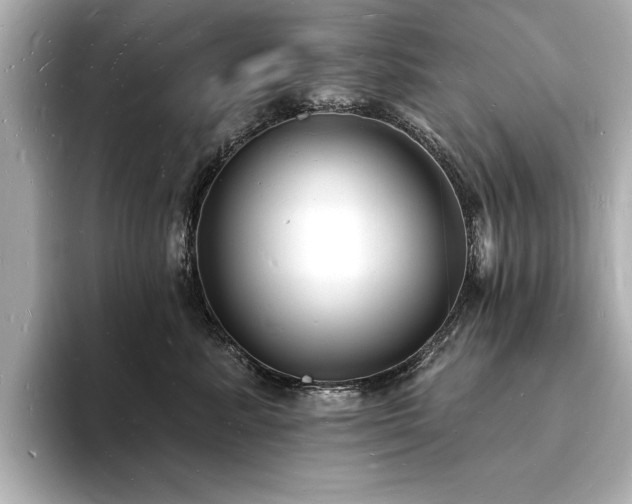 X0000093600619200710151222