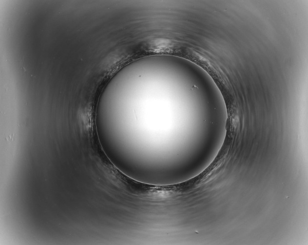 X0000093600620200710151222