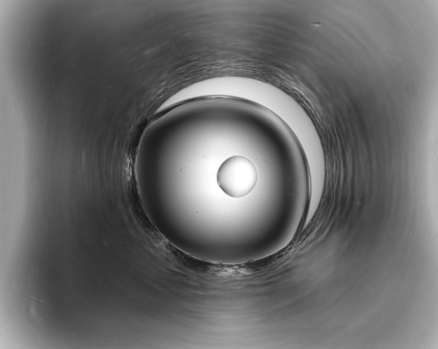 X0000093600621200710151222