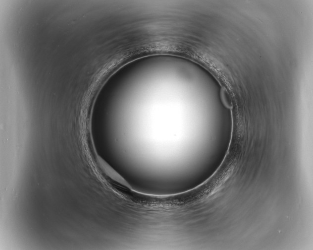 X0000093600625200710151221