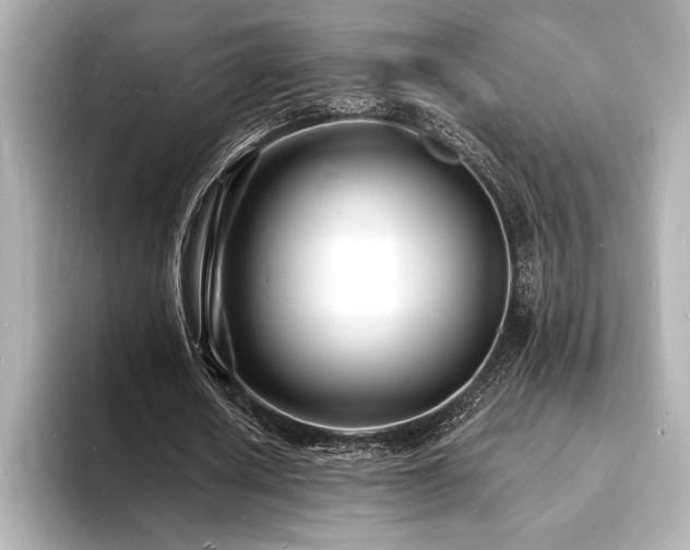 X0000093600626200710151221