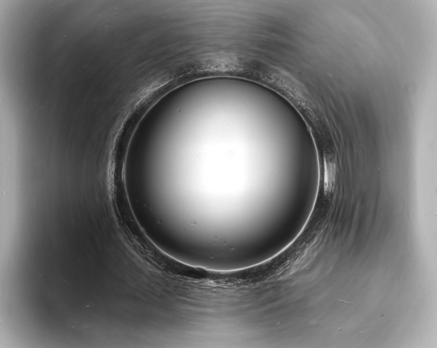 X0000093600627200710151221