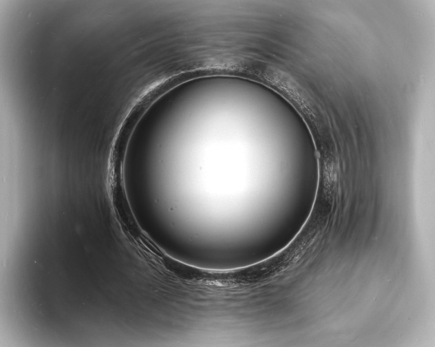X0000093600628200710151221