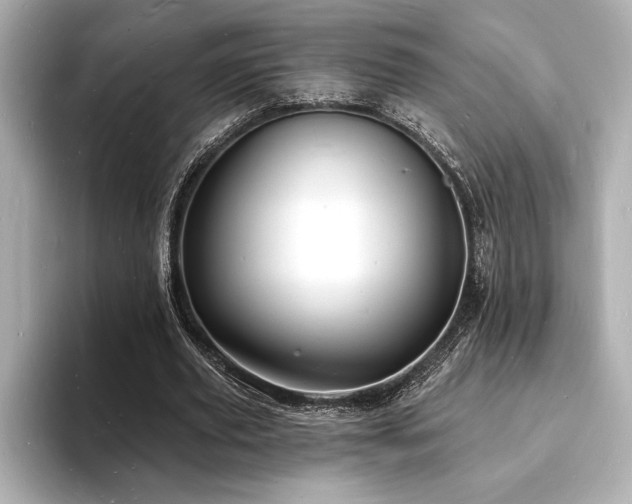 X0000093600629200710151221