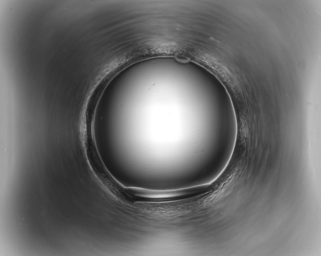 X0000093600630200710151221