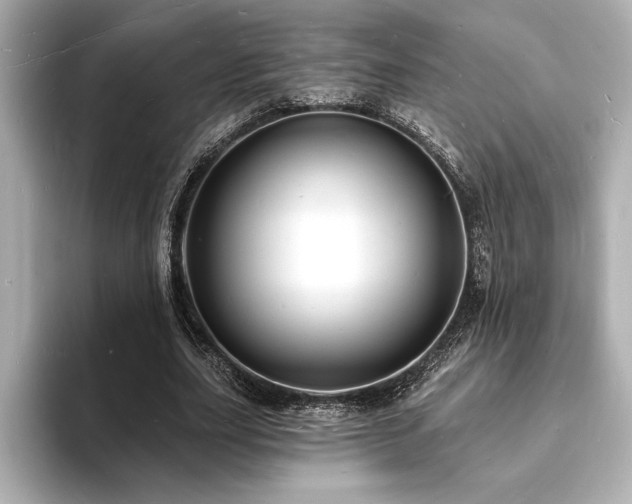 X0000093600631200710151221