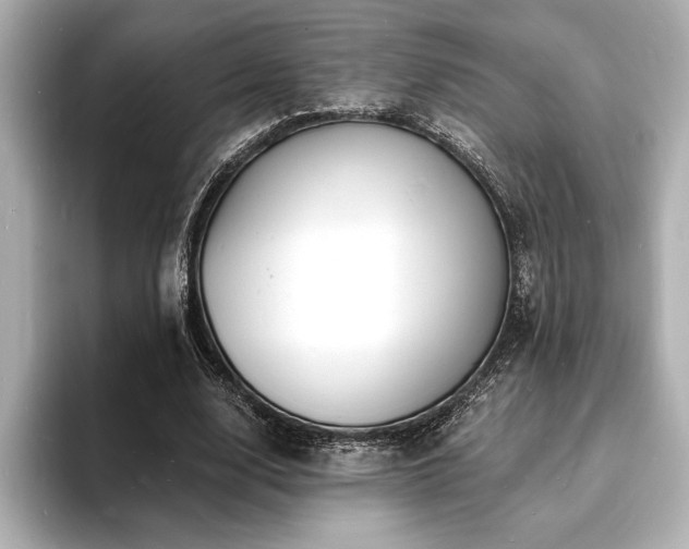 X0000093600632200710151221