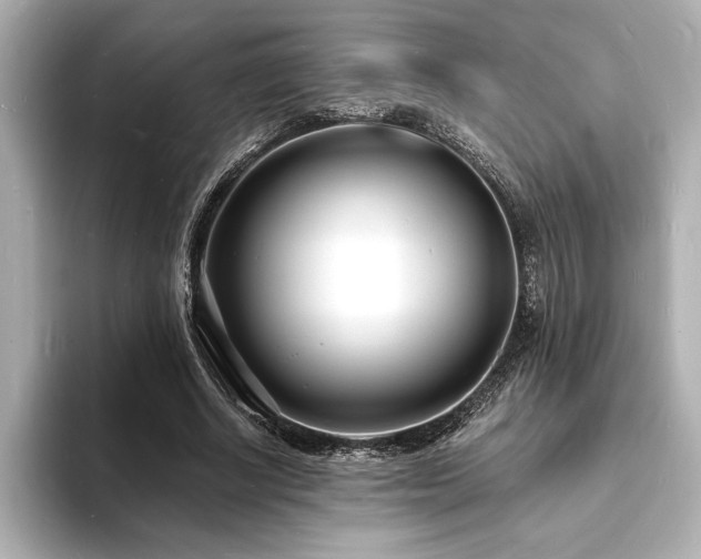 X0000093600634200710151221