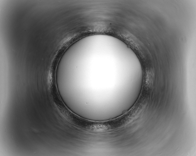 X0000093600636200710151221