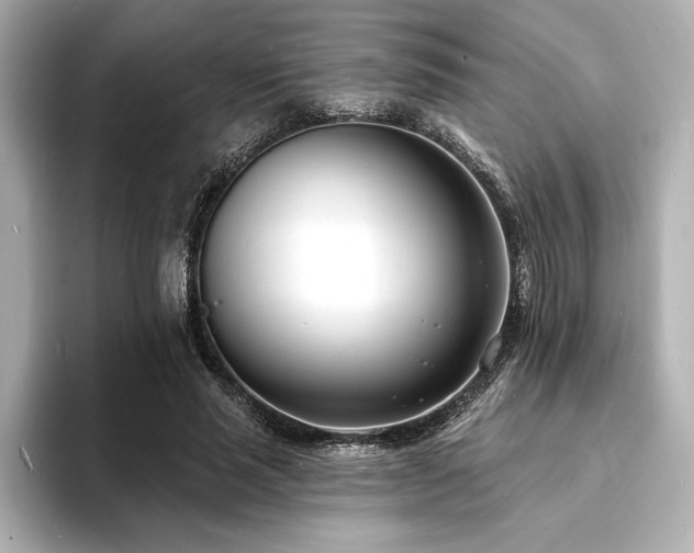 X0000093600637200710151221