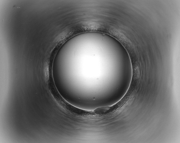 X0000093600638200710151221