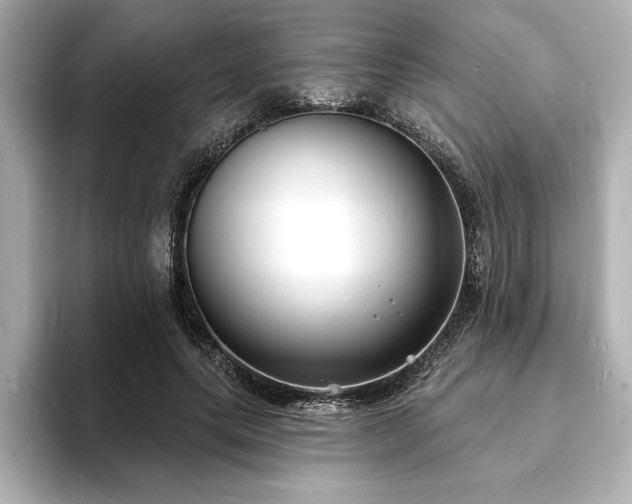 X0000093600639200710151221