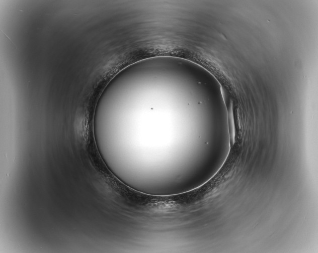 X0000093600642200710151221