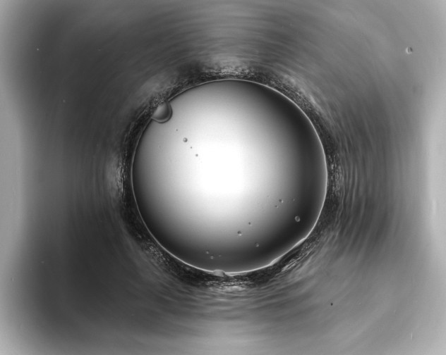 X0000093600643200710151221