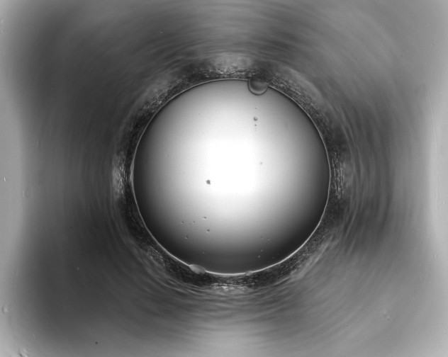 X0000093600644200710151221