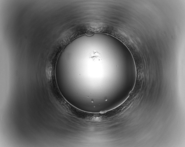 X0000093600647200710151222
