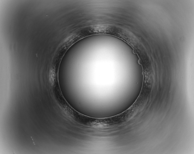 X0000093600648200710151222