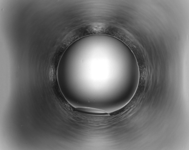 X0000093600651200710151222