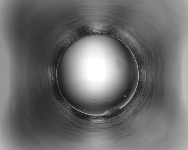 X0000093600653200710151222