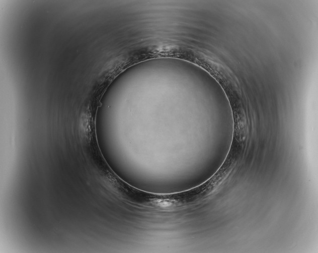 X0000093600654200710151222
