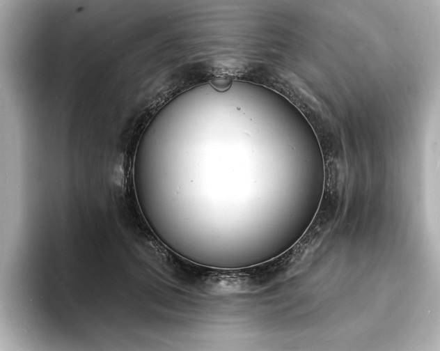 X0000093600655200710151222