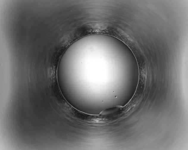 X0000093600657200710151222
