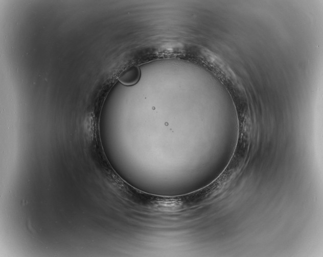 X0000093600659200710151222