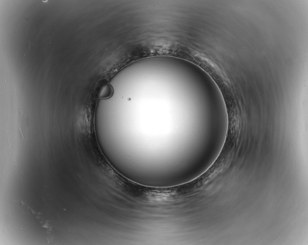 X0000093600661200710151222