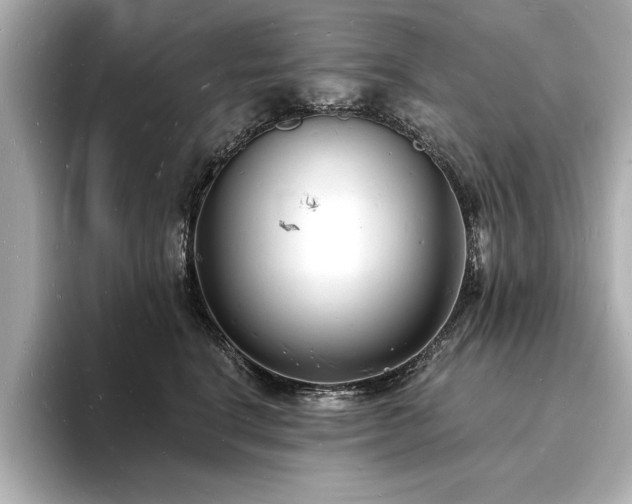 X0000093600664200710151222
