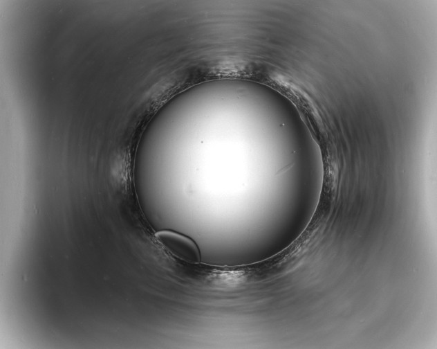 X0000093600665200710151222