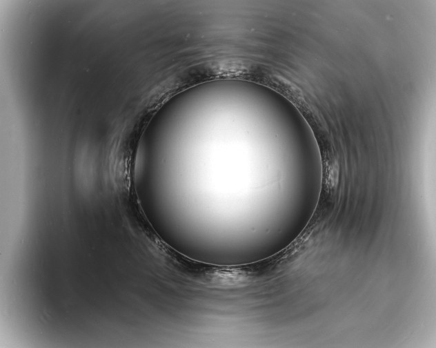 X0000093600666200710151222