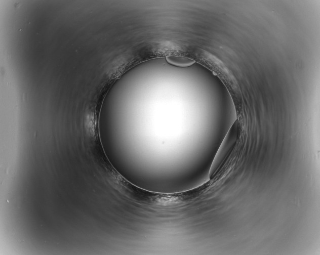 X0000093600669200710151222