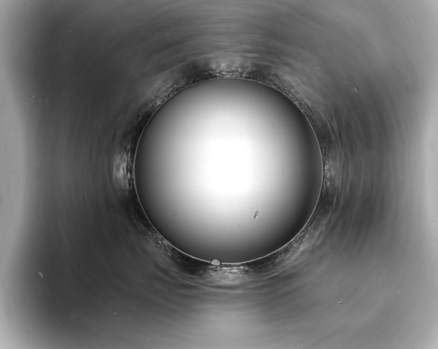 X0000093600671200710151222