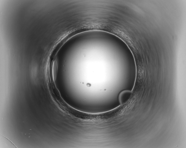 X0000093600674200710151221