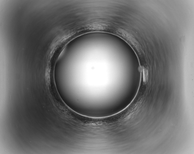 X0000093600675200710151221