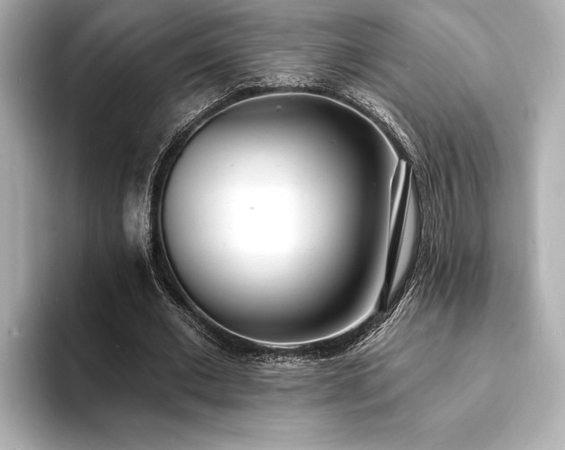 X0000093600677200710151221