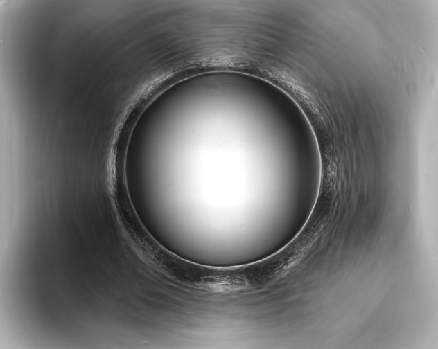 X0000093600678200710151221