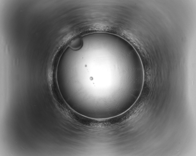 X0000093600679200710151221