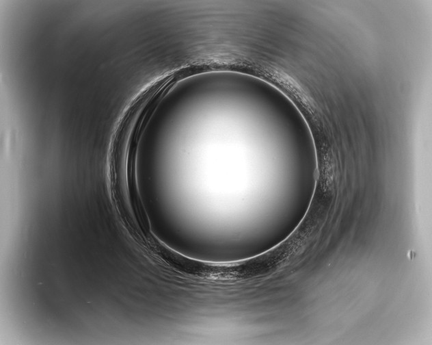 X0000093600680200710151221