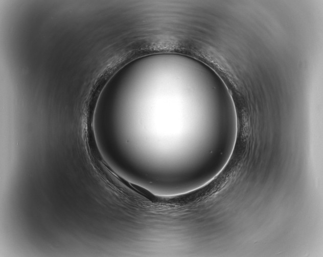 X0000093600681200710151221