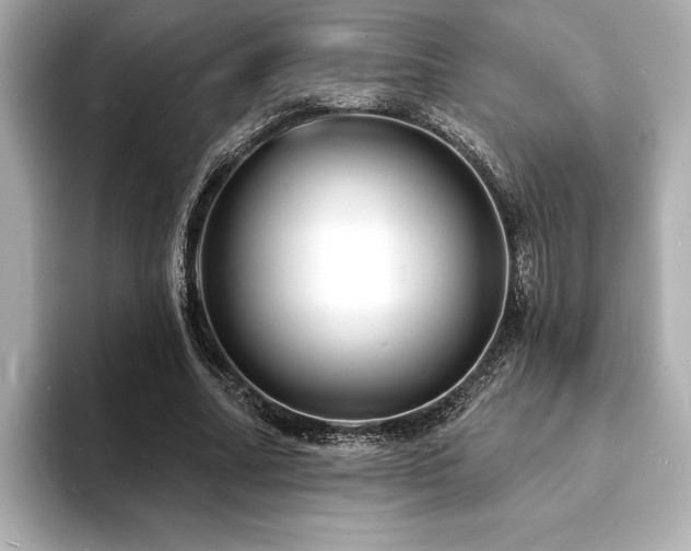X0000093600682200710151221