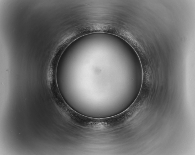 X0000093600683200710151221