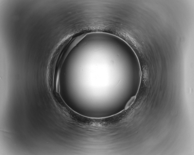 X0000093600684200710151221