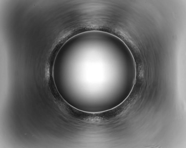 X0000093600685200710151221