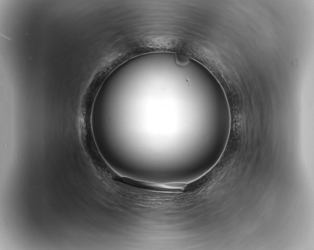 X0000093600688200710151221