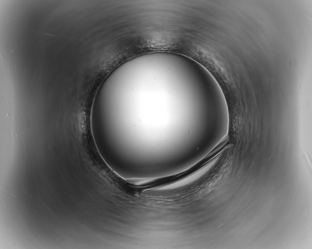 X0000093600689200710151221