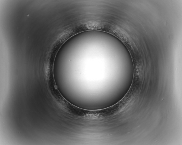 X0000093600690200710151221