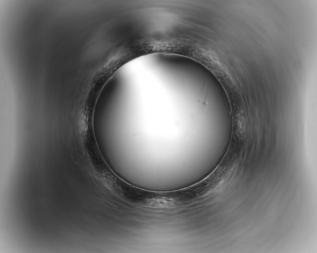 X0000093600691200710151221