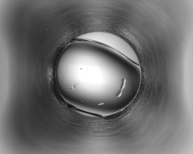 X0000093600693200710151221