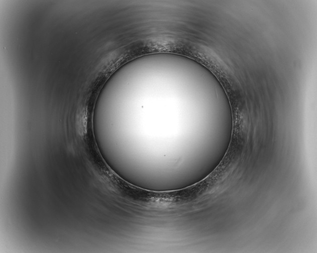 X0000093600694200710151221